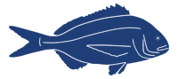 Sea Bream Feed